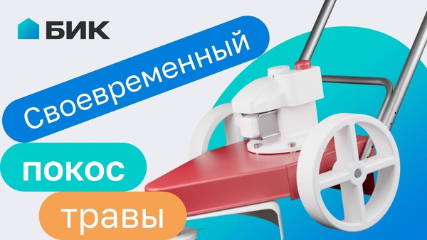 Чистый участок — ваша безопасность и комфорт
