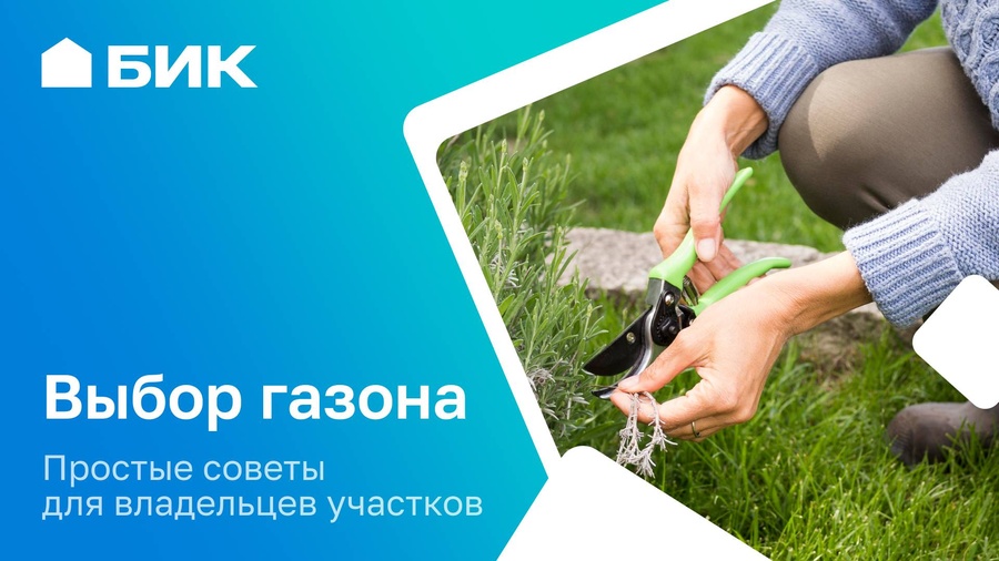 Как выбрать идеальный газон для своего участка