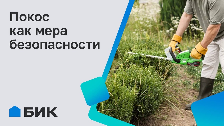 Порядок на участке — залог безопасности