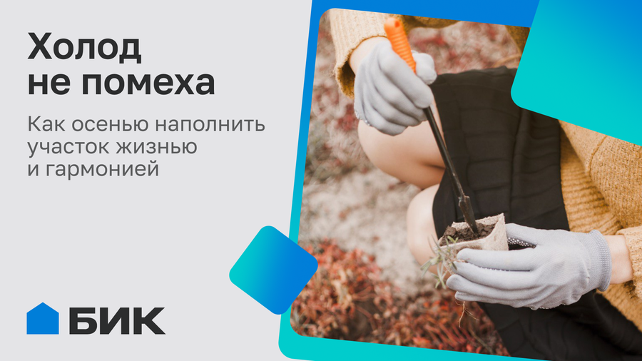 Уют начинается с порядка: как подготовить участок к холодам