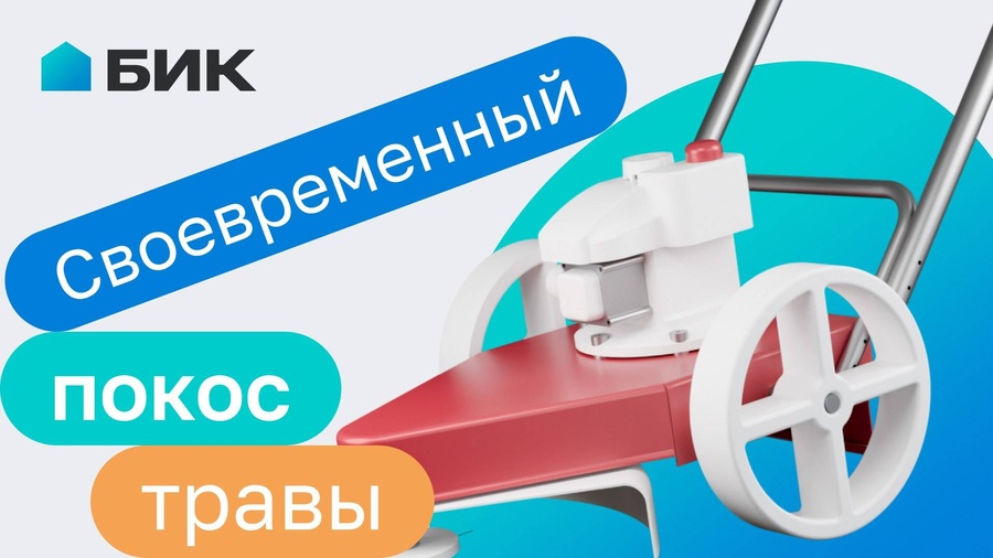 Чистый участок — ваша безопасность и комфорт