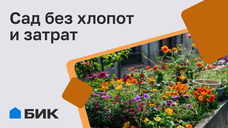 Красивый сад без лишних хлопот