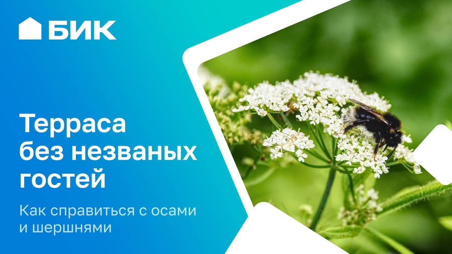 Секреты комфортного лета